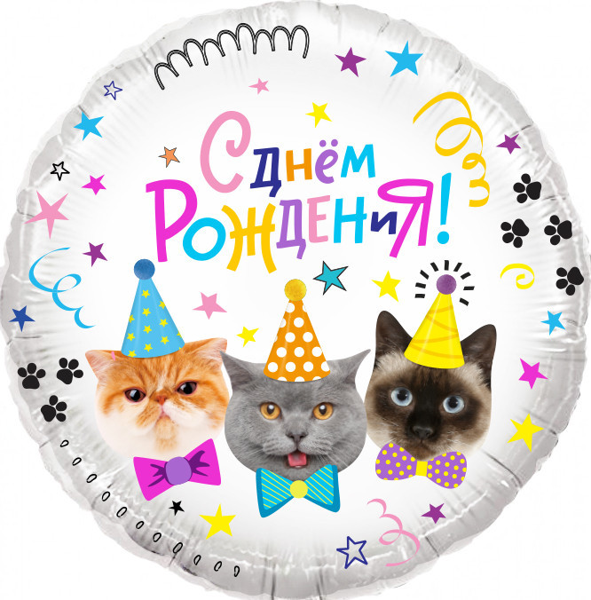 Шар (18''/46 см) Круг, Котики, С Днем Рождения! - в магазине «ШарикClub»