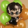 Фонтан из шаров "Harry Potter" №10 - в магазине «ШарикClub»